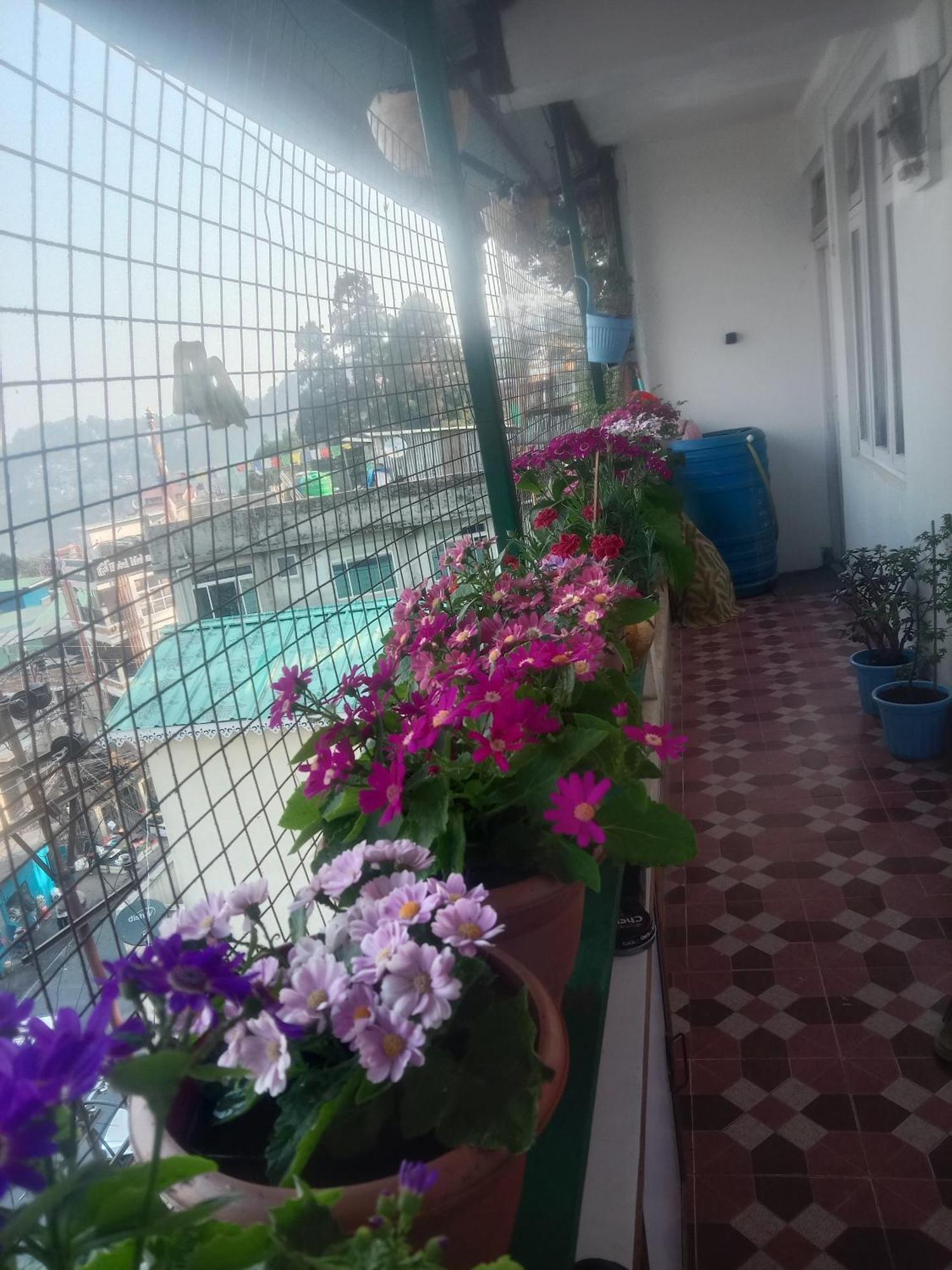 Beverly Hills Home Stay Dardzsiling Kültér fotó